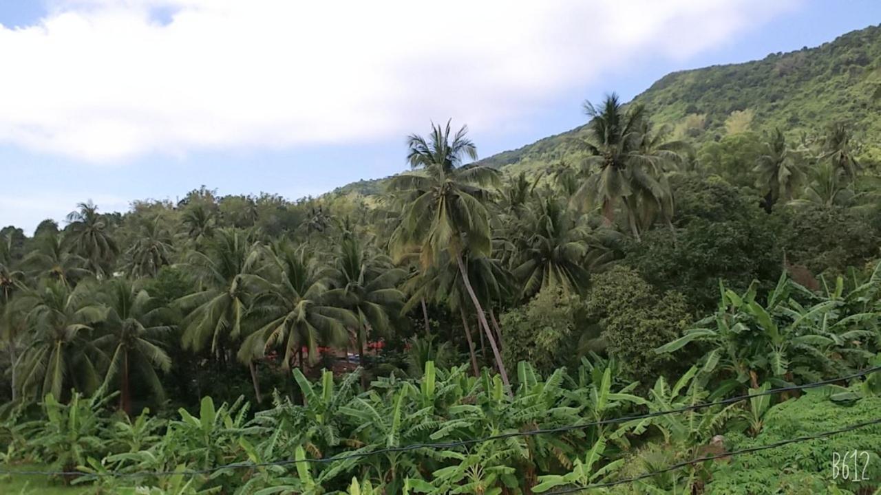 Homestay View Doi Hon Son Lai Son ภายนอก รูปภาพ